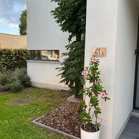 La Suite Cosy - Votre Pause Arboree La Bruyere 外观 照片