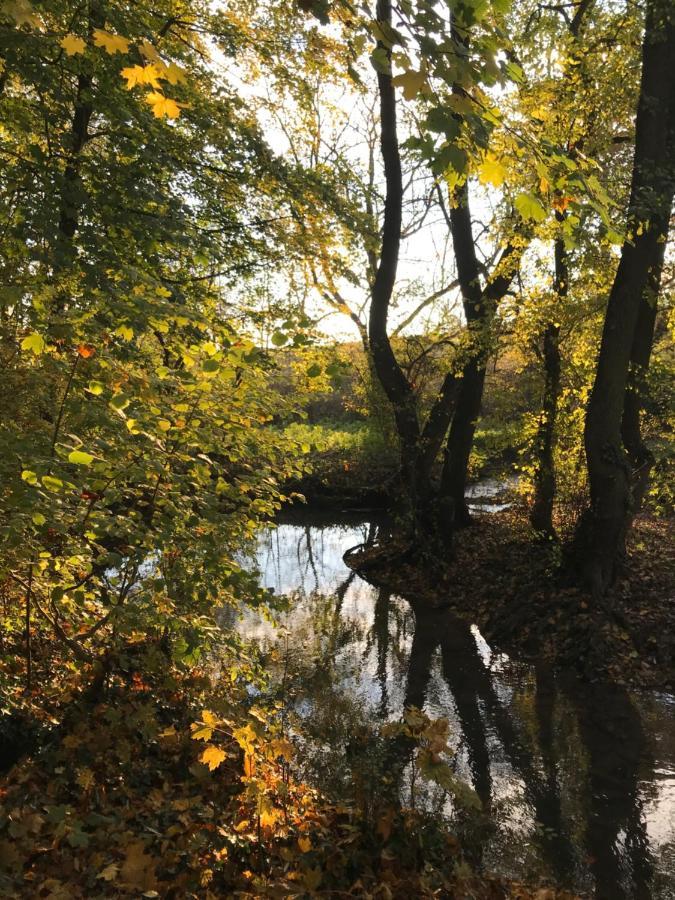 La Suite Cosy - Votre Pause Arboree La Bruyere 外观 照片