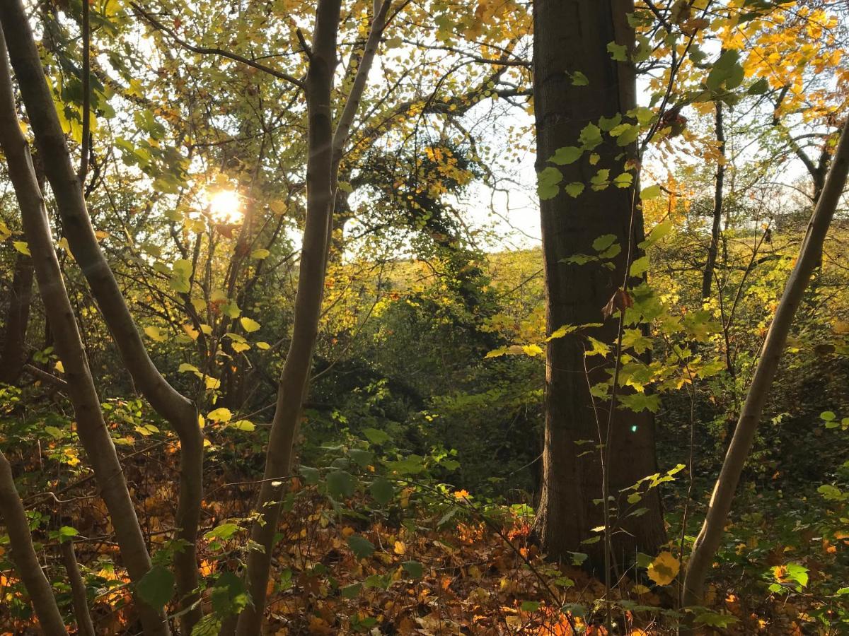 La Suite Cosy - Votre Pause Arboree La Bruyere 外观 照片