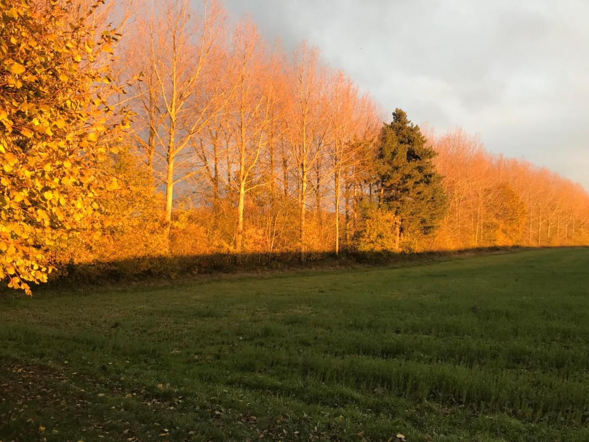 La Suite Cosy - Votre Pause Arboree La Bruyere 外观 照片
