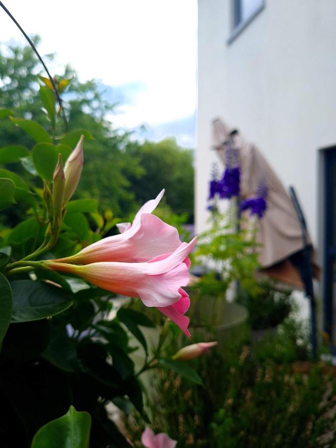La Suite Cosy - Votre Pause Arboree La Bruyere 外观 照片