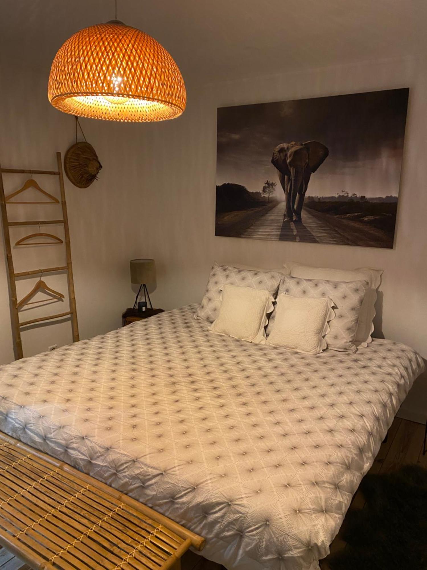 La Suite Cosy - Votre Pause Arboree La Bruyere 外观 照片